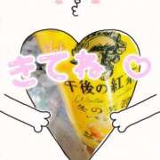 ヒメ日記 2026/03/18 14:30 投稿 おと 熟女総本店 堺東店