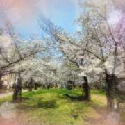 ヒメ日記 2026/04/03 19:27 投稿 おと 熟女総本店 堺東店