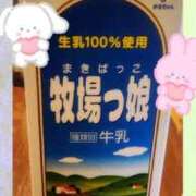 ヒメ日記 2026/05/01 10:42 投稿 おと 熟女総本店 堺東店