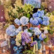 ヒメ日記 2026/06/12 10:35 投稿 おと 熟女総本店 堺東店