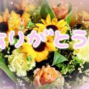 ヒメ日記 2026/07/19 18:52 投稿 おと 熟女総本店 堺東店