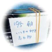 ヒメ日記 2026/10/07 11:40 投稿 おと 熟女総本店 堺東店