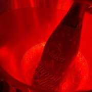 ヒメ日記 2026/02/02 02:38 投稿 いちか あふたーすくーる