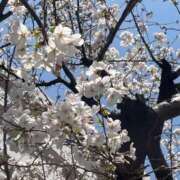 ヒメ日記 2026/04/04 18:30 投稿 いちか あふたーすくーる