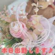 ヒメ日記 2025/10/15 09:30 投稿 ♡シオ♡ ラブ♡エル