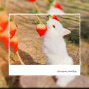 ヒメ日記 2025/09/29 01:17 投稿 なおこ 素人妻達☆マイふぇらレディー