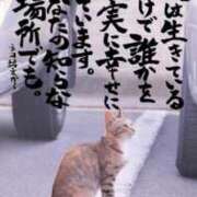 ヒメ日記 2025/10/23 23:33 投稿 なおこ 素人妻達☆マイふぇらレディー