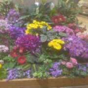 ヒメ日記 2025/11/16 00:10 投稿 なおこ 素人妻達☆マイふぇらレディー