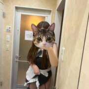 ゆの このメイドさん、、 即アポ奥さん～浜松店～