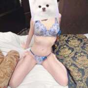 ヒメ日記 2026/01/17 12:27 投稿 るか 東京リップ 池袋店