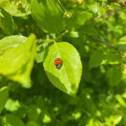 ヒメ日記 2025/10/14 07:01 投稿 みこと 素人妻御奉仕倶楽部Hip's取手店