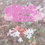 ヒメ日記 2025/10/18 12:51 投稿 みこと 素人妻御奉仕倶楽部Hip's取手店
