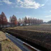 ヒメ日記 2025/12/16 22:46 投稿 望月 小春 プルプルオフィスディーバ