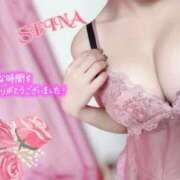 ヒメ日記 2025/11/28 10:04 投稿 せいな Porn HAREM 熊谷店