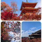 ヒメ日記 2025/11/24 22:48 投稿 ねね ドMバスターズ岡崎・安城・豊田店