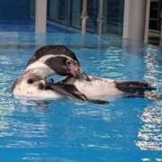 ねね 今日も1日お疲れ様です😊 ドMバスターズ岡崎・安城・豊田店