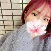 ヒメ日記 2026/04/15 15:53 投稿 ねね ドMバスターズ岡崎・安城・豊田店