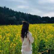 ヒメ日記 2026/04/10 23:17 投稿 乃木 麻由美 Canx2京都店