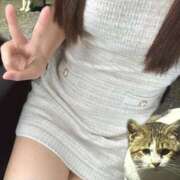 ヒメ日記 2025/09/28 09:02 投稿 Hiyori【ひより】 Club Lumine(中津)