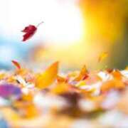 ヒメ日記 2025/11/05 10:07 投稿 筒井 真理子 熟女・人妻マダム宮殿