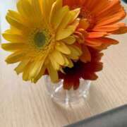 ひでみ こんにちは！ 熟女家 豊中蛍池店