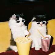 ヒメ日記 2025/11/11 10:02 投稿 もな Ace(エース)