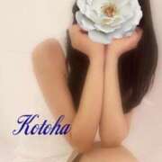 ヒメ日記 2025/09/30 04:31 投稿 宝生　ことは アムアージュ