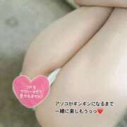 ヒメ日記 2025/11/15 12:14 投稿 ののか 人妻本舗愛のしずく名古屋店