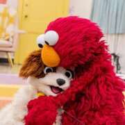 ヒメ日記 2025/10/07 01:58 投稿 岡田りこ 五十路マダム静岡店（カサブランカG）