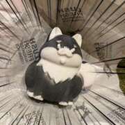 ヒメ日記 2026/02/20 15:00 投稿 岡田りこ 五十路マダム静岡店（カサブランカG）