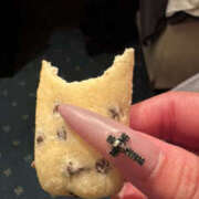 ヒメ日記 2026/02/18 19:58 投稿 あかり Kitty(キティー)