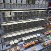 ヒメ日記 2026/04/08 10:07 投稿 あの ぷるるん小町日本橋店