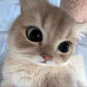 ヒメ日記 2026/04/27 20:36 投稿 ねむ アメリカンクリスタル