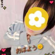 ヒメ日記 2025/11/13 14:08 投稿 ゆあ 静岡駅前ちゃんこ