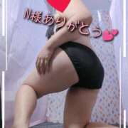 ヒメ日記 2025/11/17 20:18 投稿 ゆあ 静岡駅前ちゃんこ