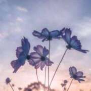 ヒメ日記 2025/10/25 10:48 投稿 コンブ　昆布 女の子市場