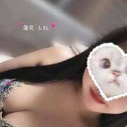 ヒメ日記 2025/09/28 08:50 投稿 蓮見もね ゴールドクイーン