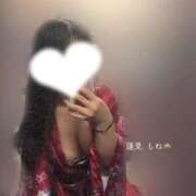 ヒメ日記 2025/10/28 00:10 投稿 蓮見もね ゴールドクイーン