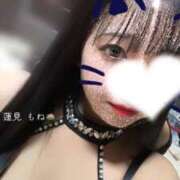 ヒメ日記 2025/11/08 08:10 投稿 蓮見もね ゴールドクイーン