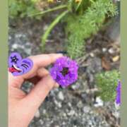 きら 💐お盆休み💐 ここ恋