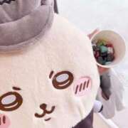 みく 今日も プリコレ（PRINCESS COLLECTION）