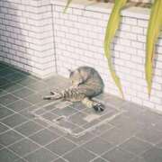 ヒメ日記 2025/10/11 08:57 投稿 キララ 沖縄素人図鑑