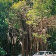 ヒメ日記 2025/10/17 15:00 投稿 キララ 沖縄素人図鑑