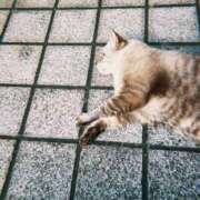 ヒメ日記 2025/10/25 19:18 投稿 キララ 沖縄素人図鑑