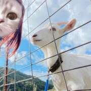 ヒメ日記 2025/12/19 22:33 投稿 キララ 沖縄素人図鑑