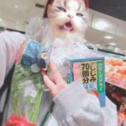 キララ しーじみっ 沖縄素人図鑑