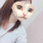 キララ 撫でて〜 沖縄素人図鑑