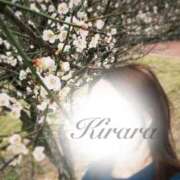 キララ 白いお花が咲いた 沖縄素人図鑑