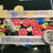 キララ 干天の慈雨 沖縄素人図鑑