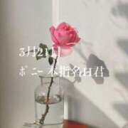 ヒメ日記 2026/03/23 21:12 投稿 キララ 沖縄素人図鑑